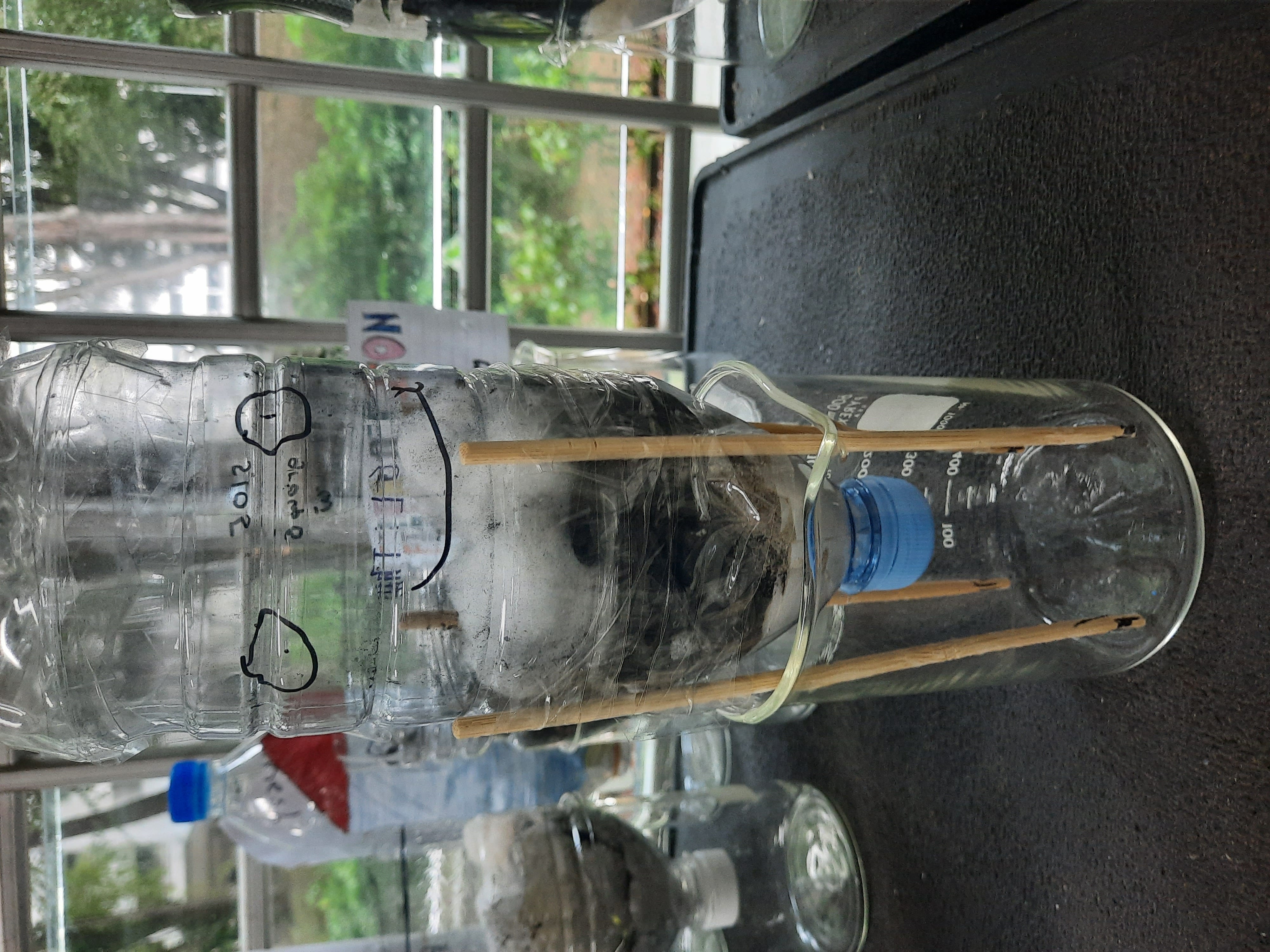 A student's handmade water filtration system made out of a plastic bottle, cotton balls, soil, and other components.